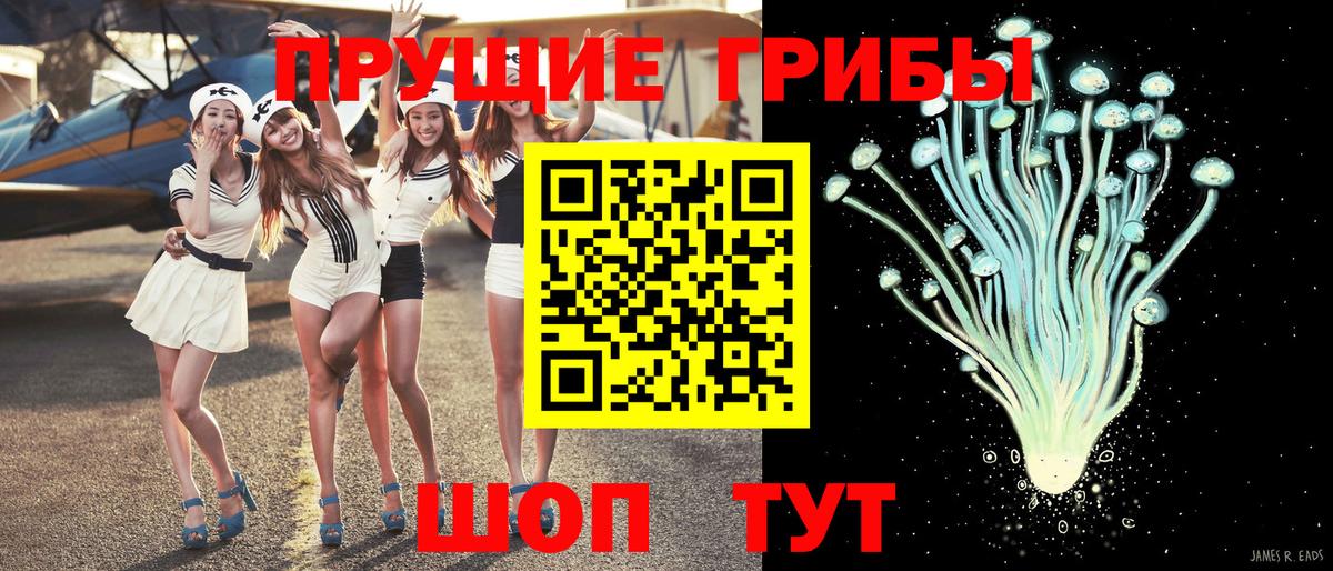 Галлюциногенные грибы Psilocybe Калач-на-Дону