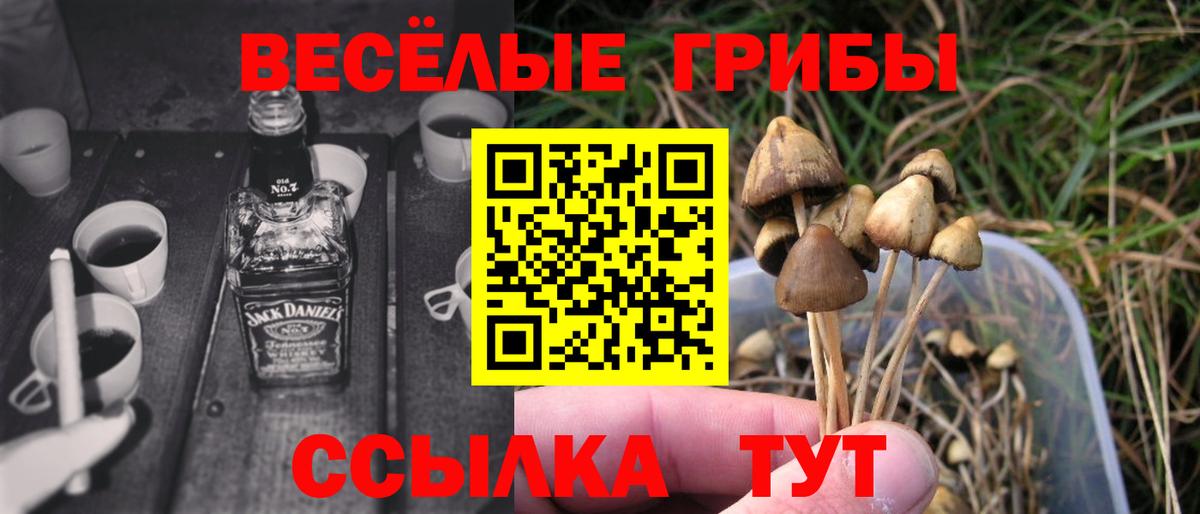 Галлюциногенные грибы Cubensis  Вход с VPN  Калач-на-Дону 
